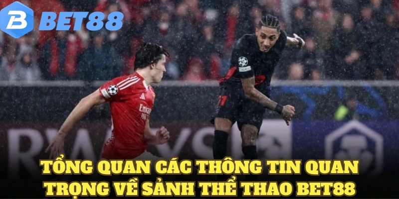 Tổng quan các thông tin quan trọng về sảnh thể thao BET88